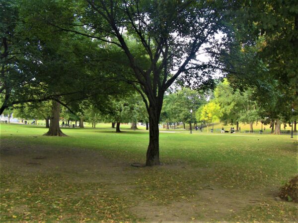 Boston Common