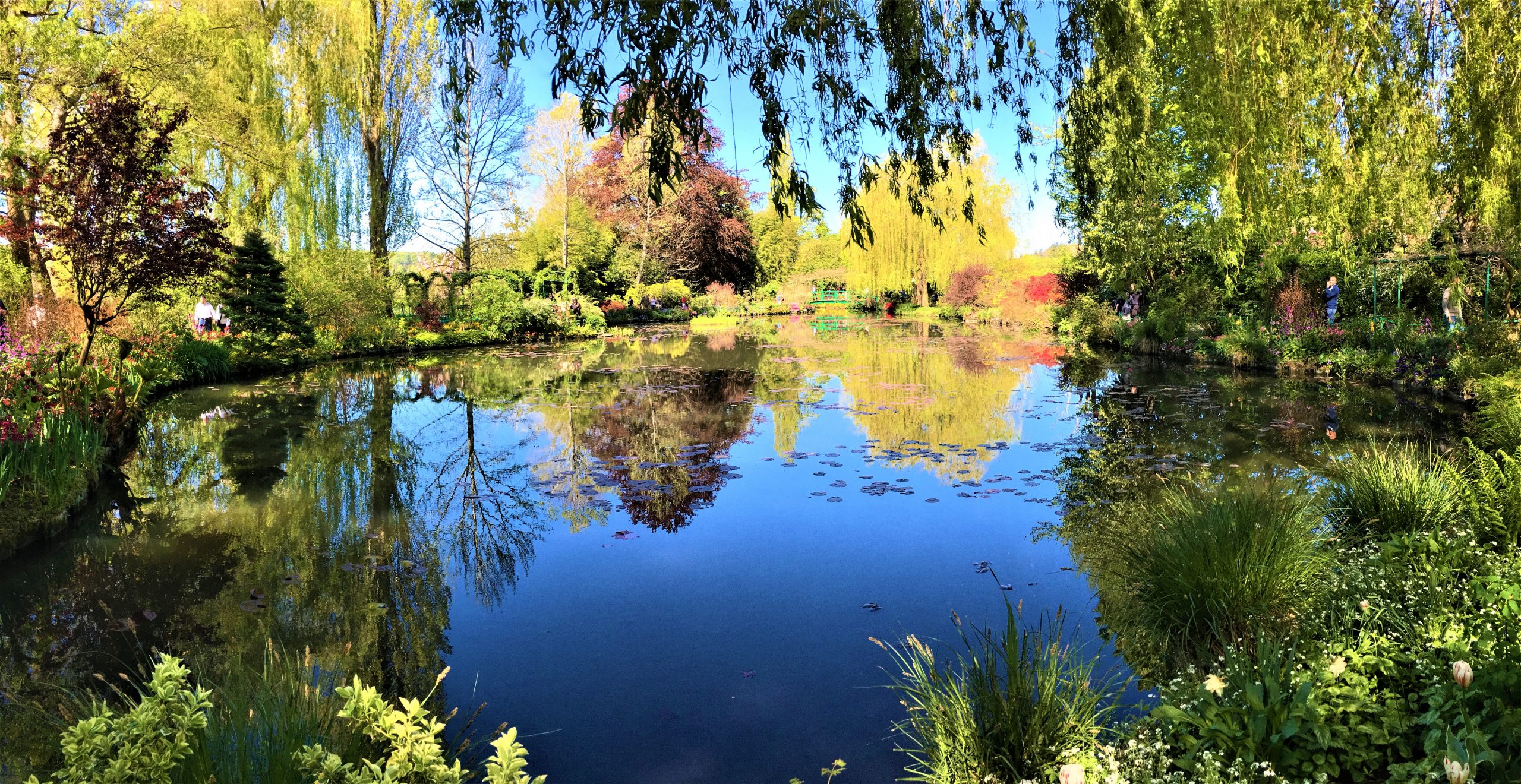 Monet's Garden, Giverny