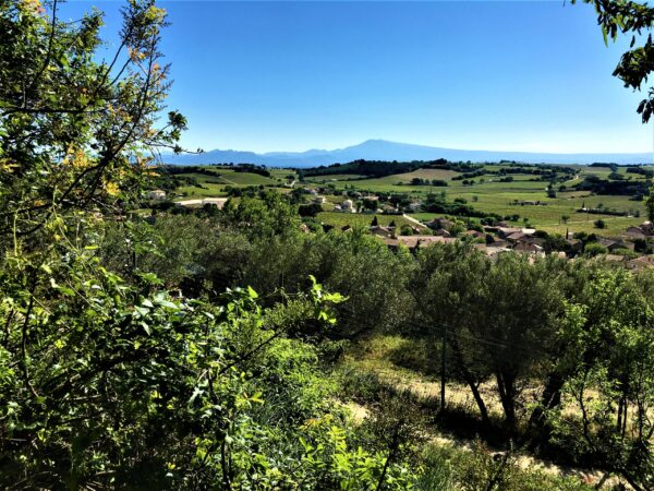 Avignon countryside