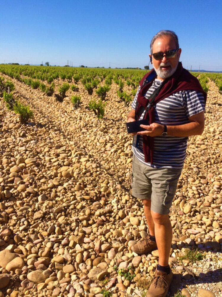 Vineyard Chateauneuf du Pape