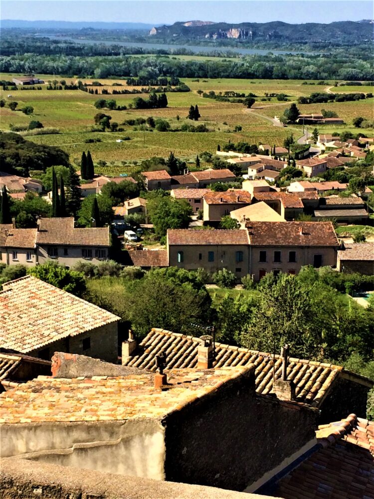 Chateauneuf du Pape countryside