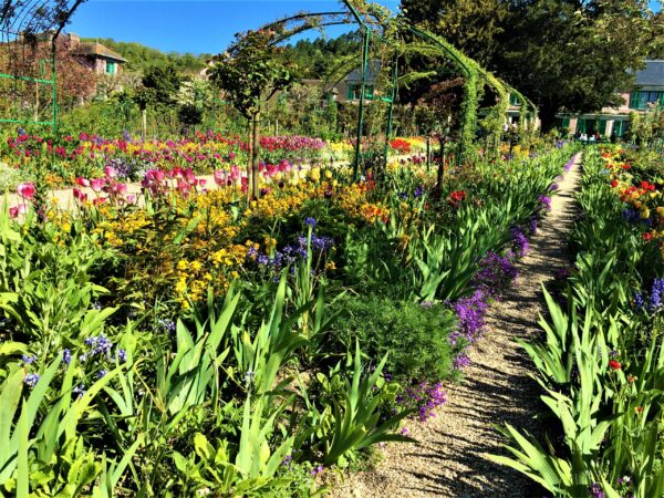 Monet's Garden,Giverny