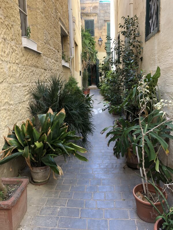 Laneway, Savina