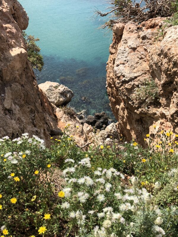 Waters of Golden Bay