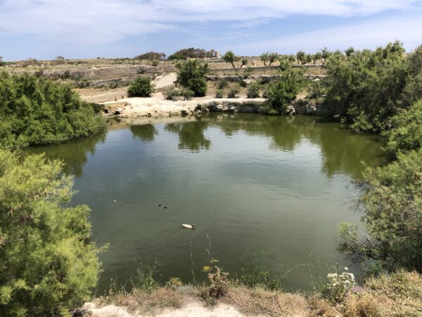 Sarraflu pond, Kercem