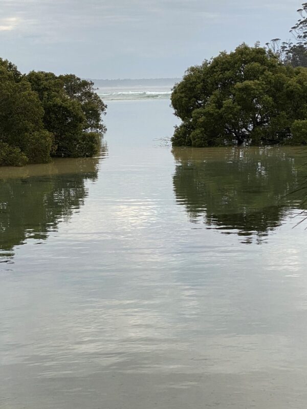 Narrawallee shoreline