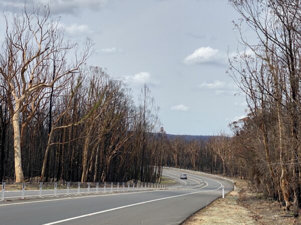 Post bushfire Mollymook