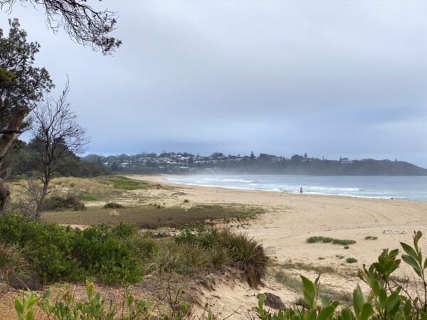 Mollymook beach