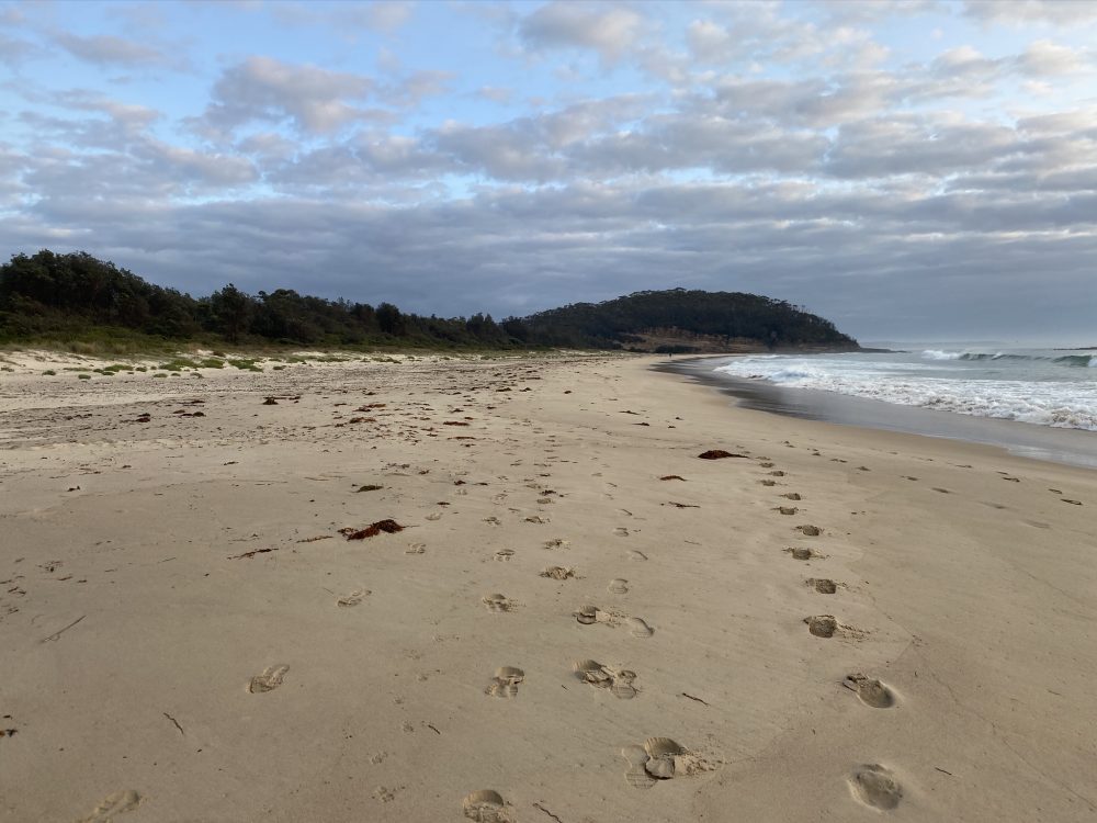 Narrawallee beach