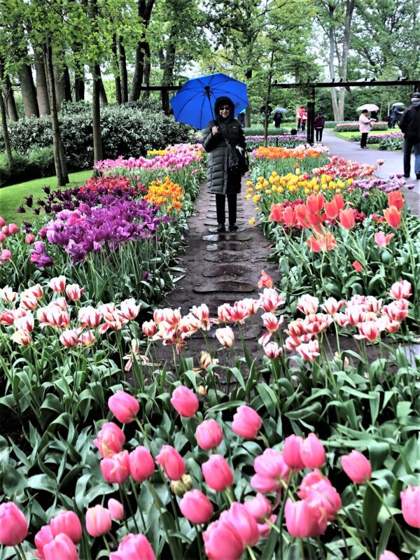 Keukenhof Gardens