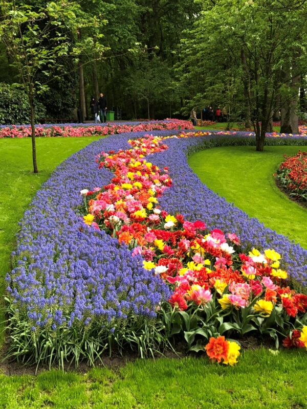 Keukenhof Gardens