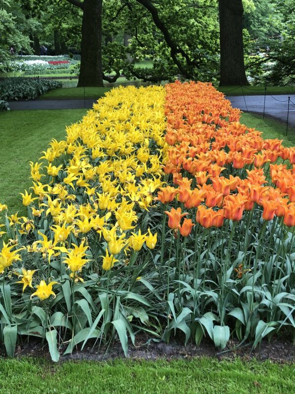 Keukenhof Gardens