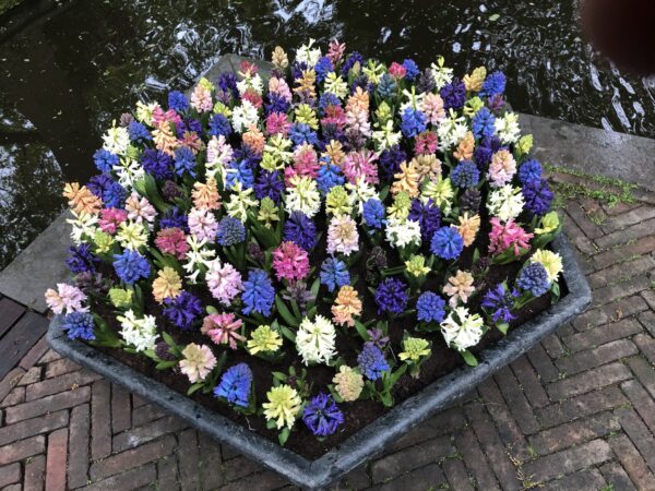 Keukenhof Gardens