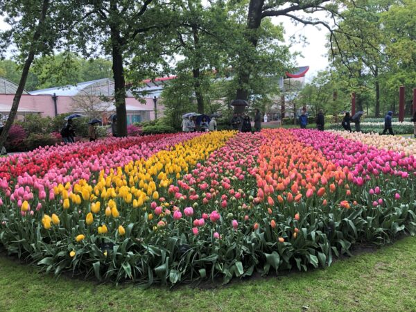 Keukenhof Gardens