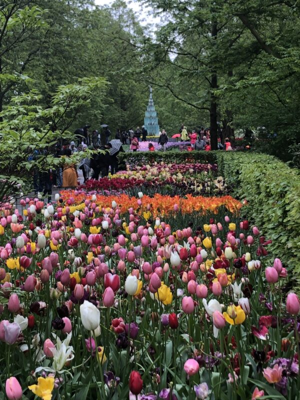 Keukenhof Gardens