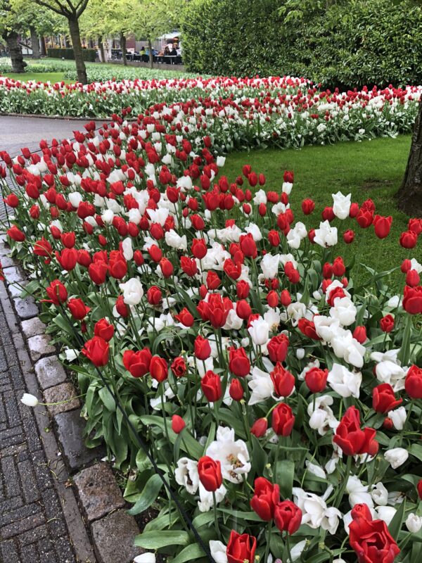 Keukenhof Gardens