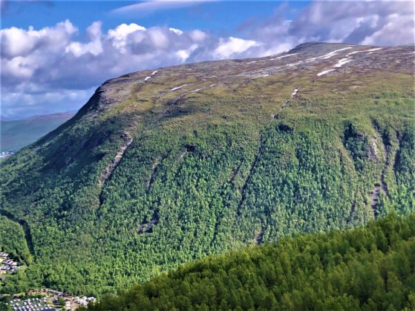 View from Mt Storsteinen