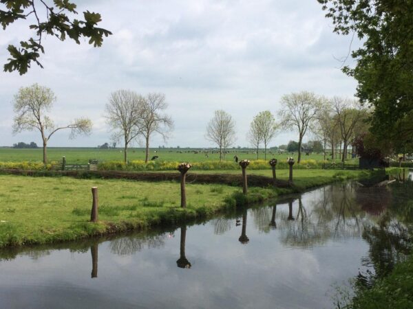 Countryside outside Amsterdam