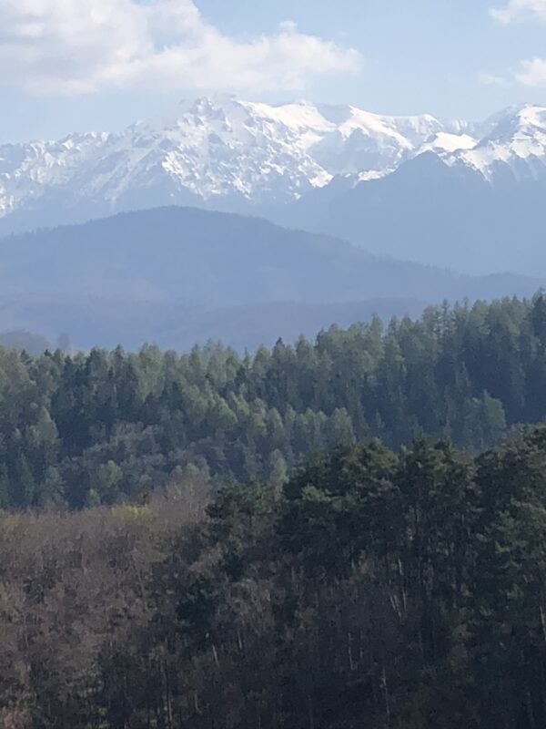 Carpathia Mt from Rasnov