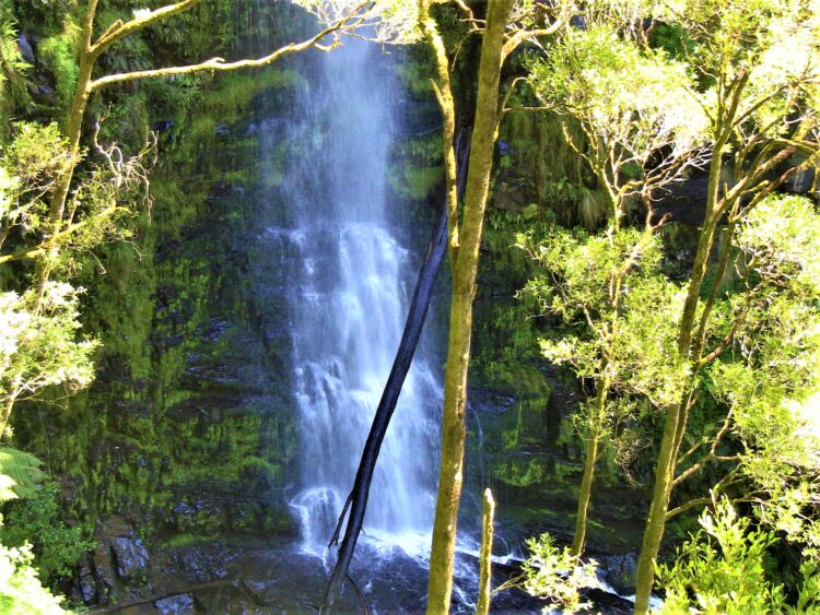 Erskine Falls, GOR