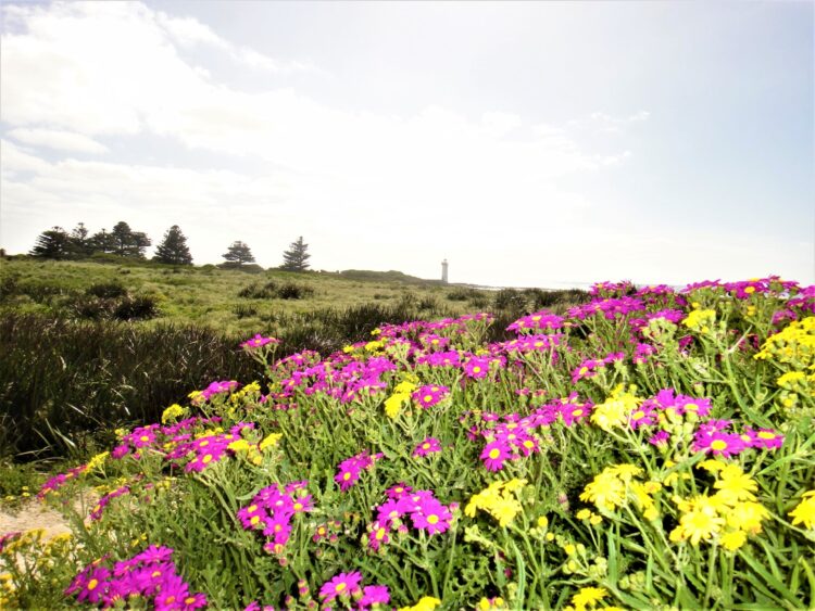 Port Fairy countryside, GOR