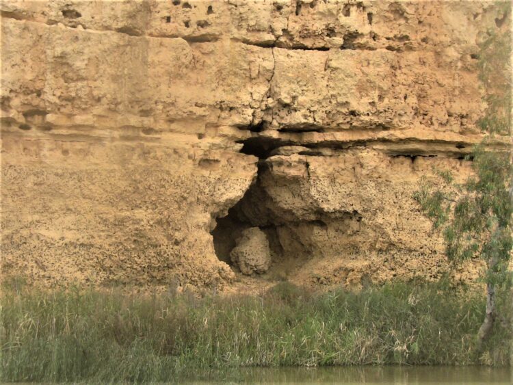 Cliffs along the banks: Murray River