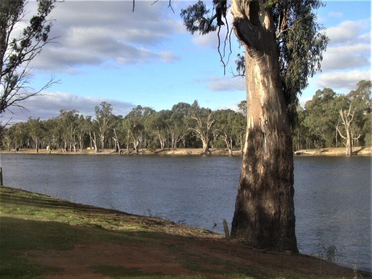 The Murray River