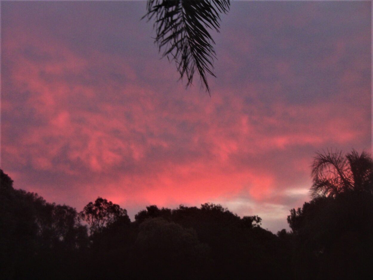 Evening sky: Murray River