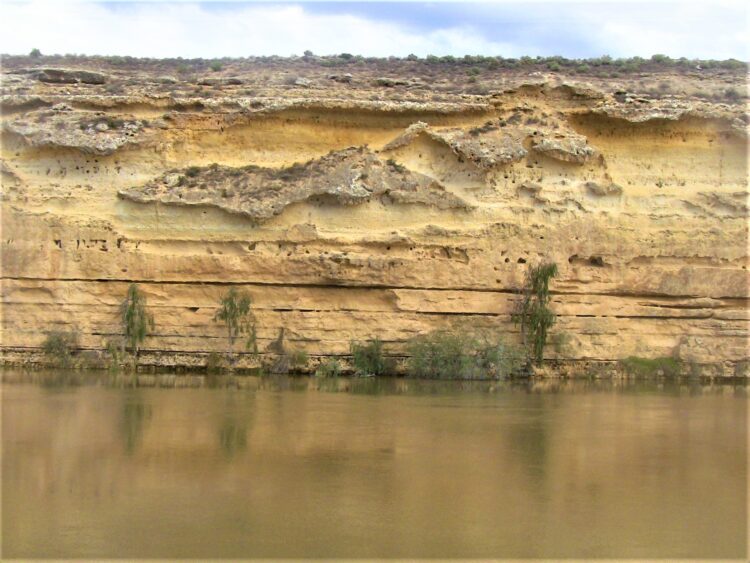 Cliffs along the banks: Murray River