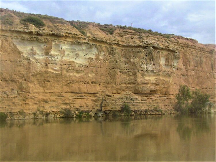 Cliffs along the banks: Murray River