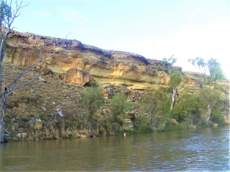 Cliffs along the banks: Murray River