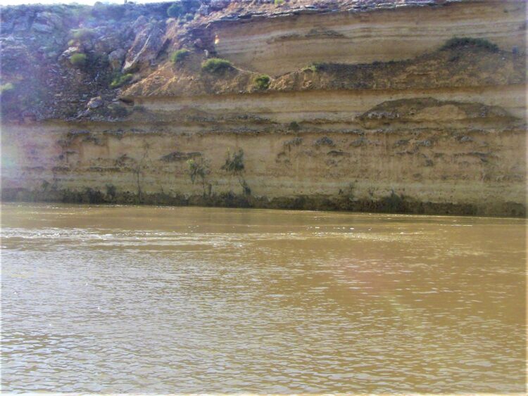 Cliffs along the banks: Murray River