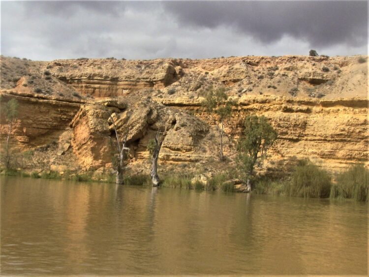 Cliffs along the banks: Murray River