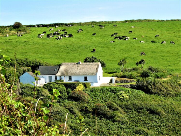 Rolling countryside, County Cork