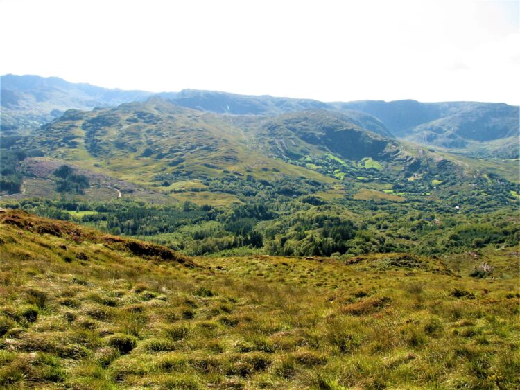 Countryside, County Mayo