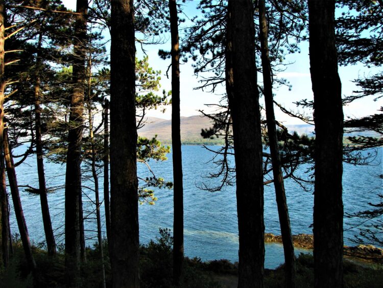 Hidden lake in Ireland