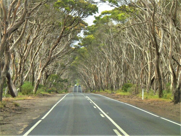 Main Highway, Kangaroo Island