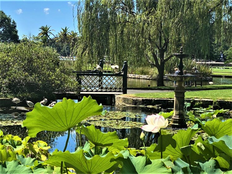 Sydney Botanical Gardens