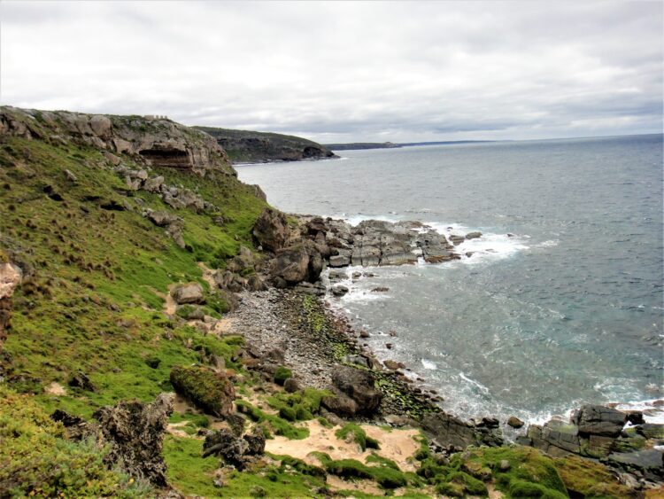 Kangaroo Island coastline