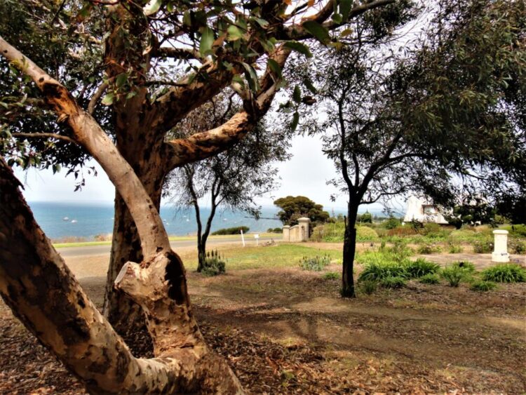 Kangaroo Island