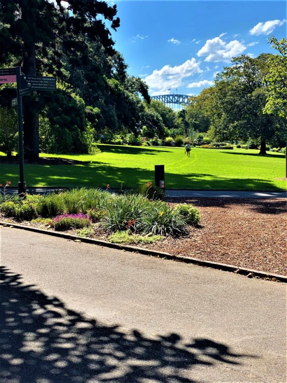 Sydney Botanical Gardens