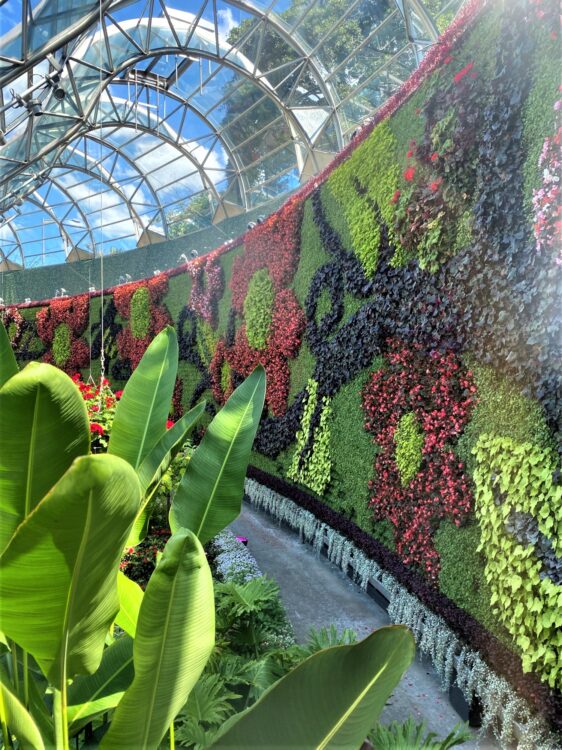 The Calyx @ Sydney Botanical Gardens