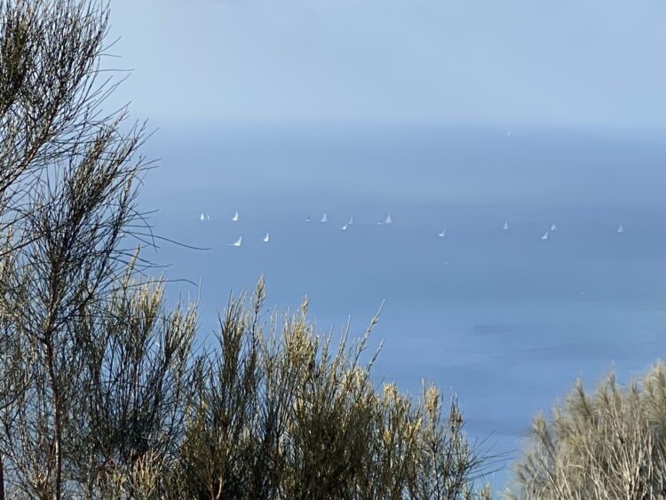 Arthurs Seat Lookout