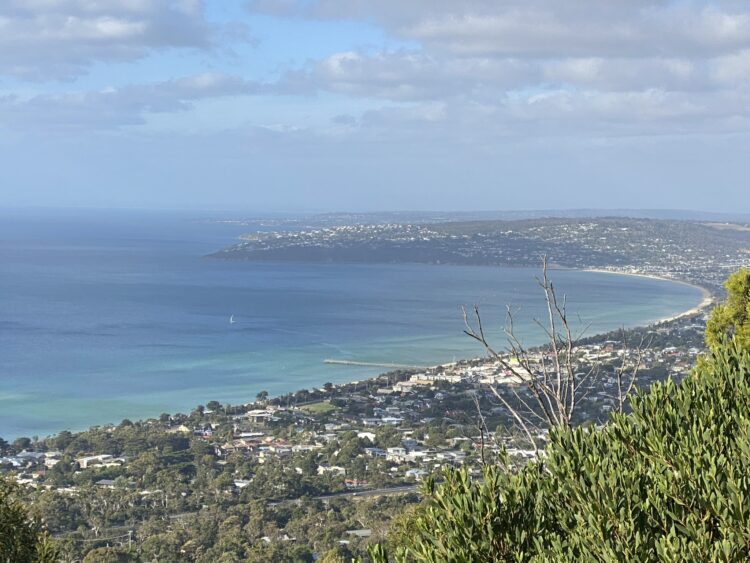 Arthurs Seat Lookout